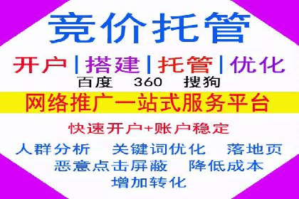 SEM主管实战：案例分析与优化策略